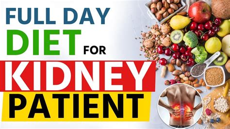 Full Day Diet for Kidney Patients | Kidney Failure Diet | Dr Puru Dhawan - YouTube