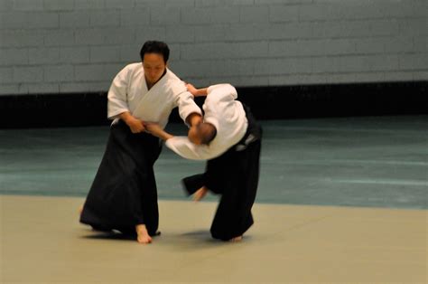 49th All Japan Aikido Demonstration - avparker.com