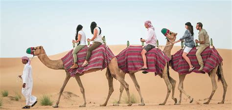 Camel Desert Safari – Dubai Evasion