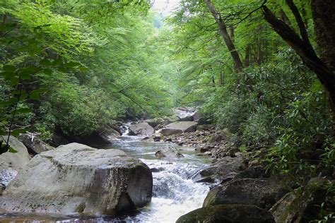 Otter Creek Wilderness - Elkins-Randolph County Tourism