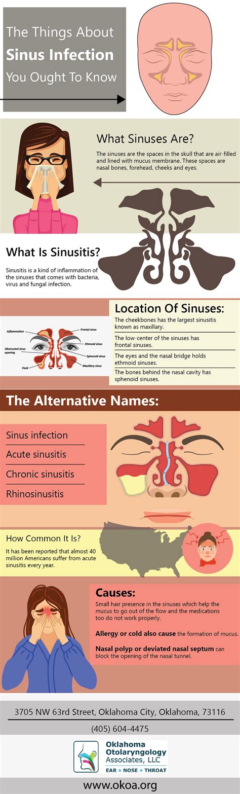 The Things About Sinus Infection You Ought To Know