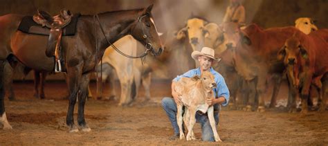 Australian Outback Spectacular Heartland Dinner & Show, Australia ...