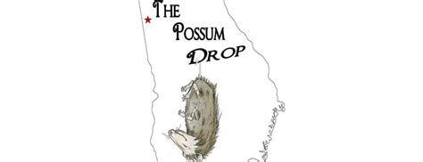 New Year’s Possum Drop - Village Park