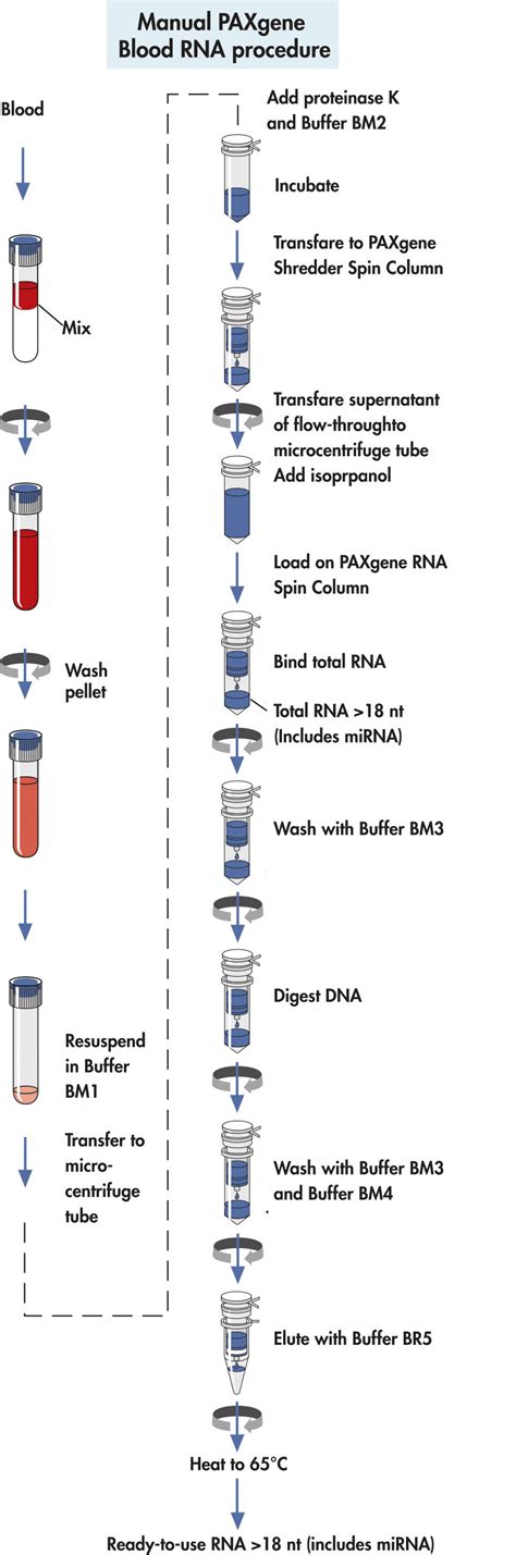 Paxgene Blood Rna Kit (50) Ce Discounts Selling | www.oceanproperty.co.th