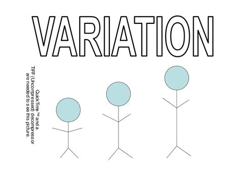 PPT - VARIATION PowerPoint Presentation, free download - ID:4735995