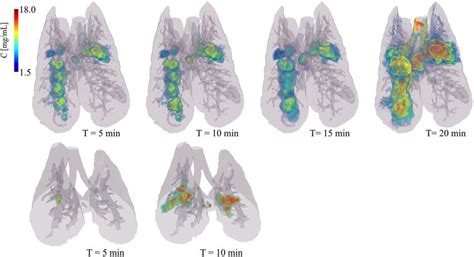 Three-dimensional rendering of the regional deposition of iodine ...