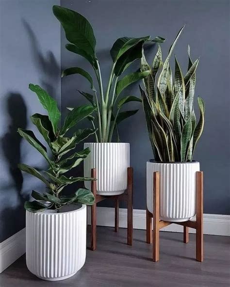 30+ Popular Indoor Plant Stands Ideas For Fresh Home Inspiration | Plant decor indoor, House ...