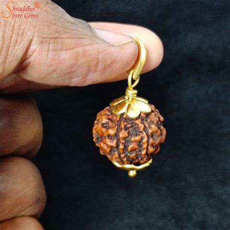 Natural 10 Mukhi/Face Rudraksha Pendant - Shraddha Shree Gems