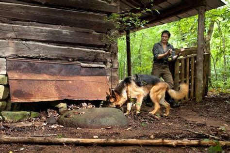 Cadaver Dogs: How Canine Noses Help Find Dead Bodies