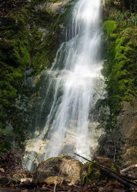 Pfeiffer Falls Pfeiffer State Park in Big Sur, Ca | Best places to camp ...