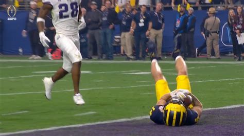 Michigan loses huge touchdown on controversial replay review