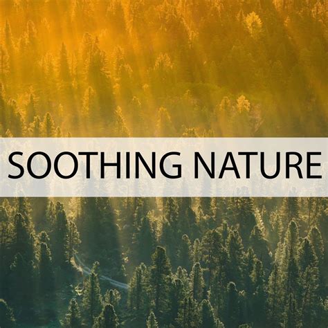 ‎Soothing Nature by Nature Sounds on Apple Music