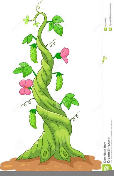 Cartoon Beanstalk Clipart | Free Images at Clker.com - vector clip art ...