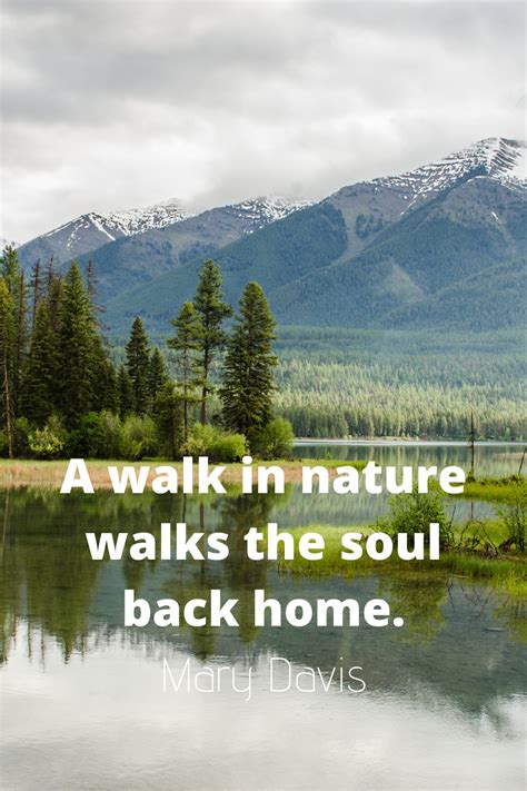 A Walk In Nature | Walking in nature, Nature quotes, Nature