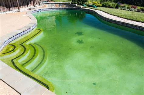 Yellow Algae Pool Treatment - Pregnancy Depression