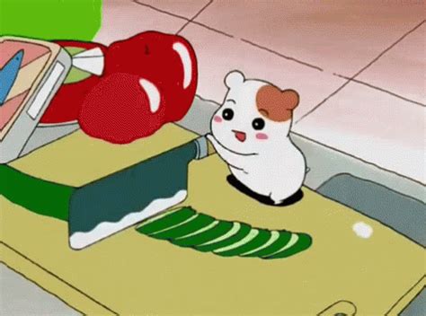 Hamster GIF - Hamster - Discover & Share GIFs