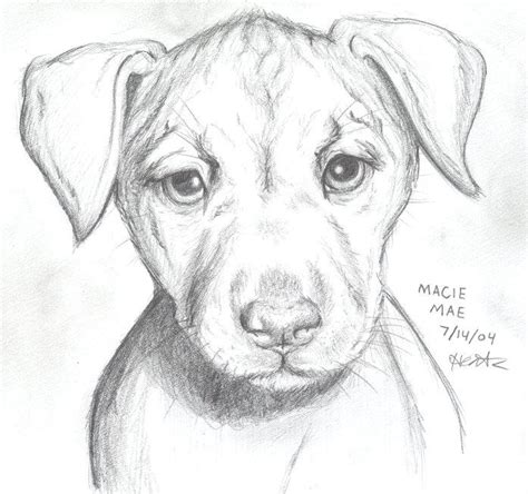 Puppy Dog Eyes by KaleyObsidia on DeviantArt