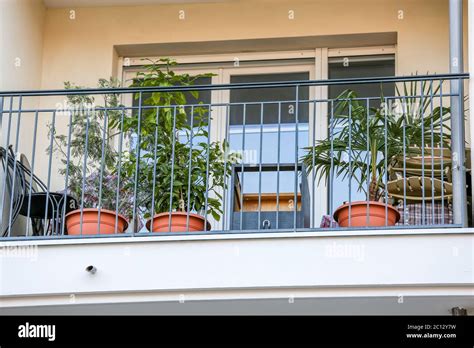 Balcony with green plants Stock Photo - Alamy