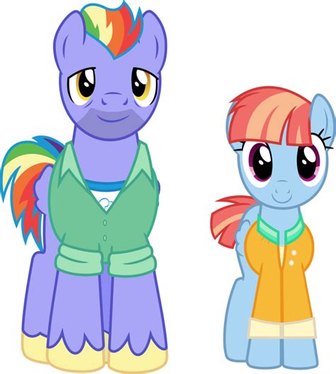 Rainbow Dash's parents by pink1ejack | Personagens my little pony, My ...