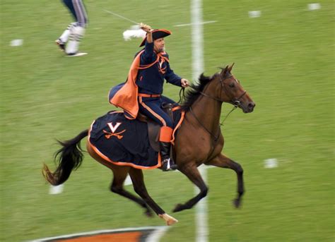 UVA Virginia Cavaliers - mascot - The Cavalier on horseback | Virginia ...