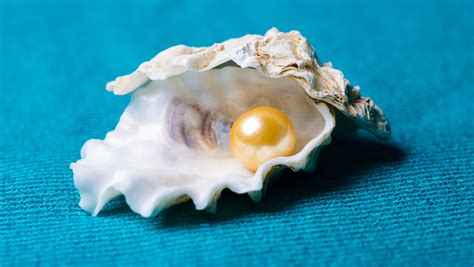 Pearl Meaning, symbolism, and myths — Ocean Jewelry