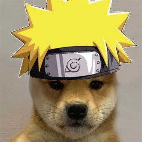 Naruto Characters With Dog - borutojullll