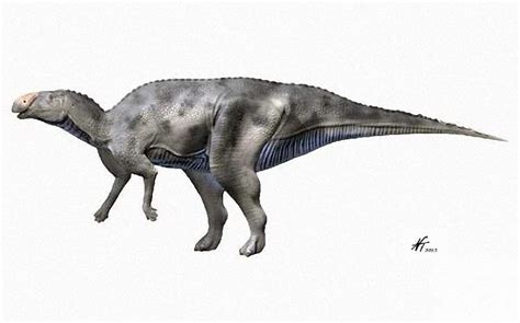 Hadrosaurus - Alchetron, The Free Social Encyclopedia