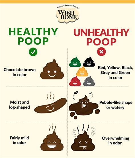 INFOGRAPHIC: The difference between healthy and unhealthy poop – Wishbone Pet Food NZ