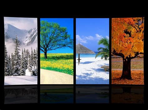 Four Seasons Wallpaper - WallpaperSafari