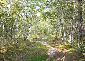 3 Best Hiking Trails in Sudbury, ON - Expert Recommendations