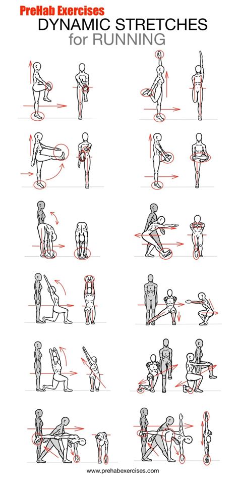 Stretches - Dynamic Stretches for the Running - Prehab Exercises