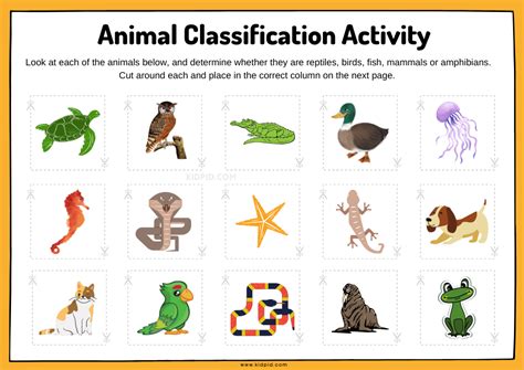 Top 118+ How can we classify animals - Merkantilaklubben.org