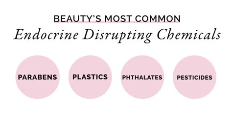 4 Harmful Endocrine Disruptors to Avoid in Beauty Products - Simply Organics