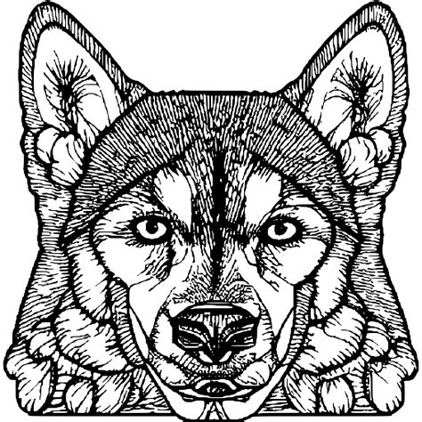 Husky Dog Face Coloring Page · Creative Fabrica