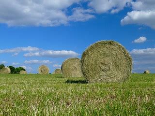 Summer wheels | Straw wheels after the recent wheat harvests… | Flickr