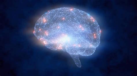 Study Shows Consciousness May Be Product of Quantum Effect | Gaia