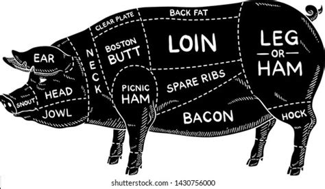 Pig Butcher Chart Photos, Images & Pictures | Shutterstock