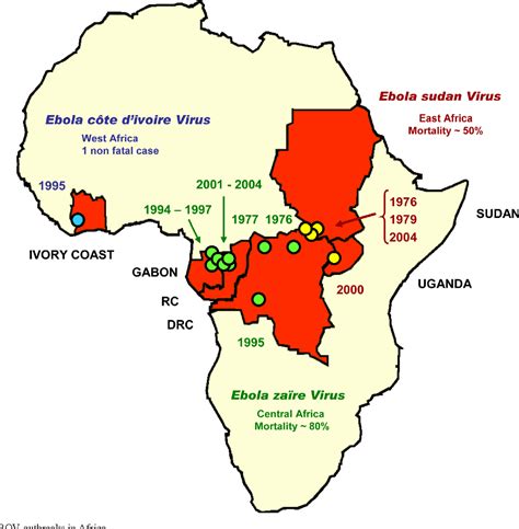 [PDF] The natural history of Ebola virus in Africa. | Semantic Scholar