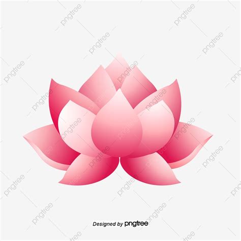 Download this Lotus Flower Cartoon, Lotus Vector, Flower Vector ...