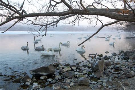 The Beautiful Nature of Lake Kussharo in Winter. Stock Photo - Image of ...