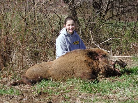 Wild Boar | Caryonah Hunting Lodge