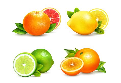 List of Citrus Fruits Names To Teach Preschoolers & Kids