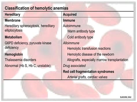 PPT - Hemolytic Anemias PowerPoint Presentation, free download - ID:4632555