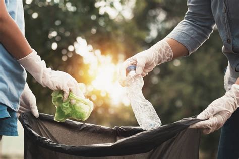 La contaminación del suelo: Todo lo que debes saber | Bioguia