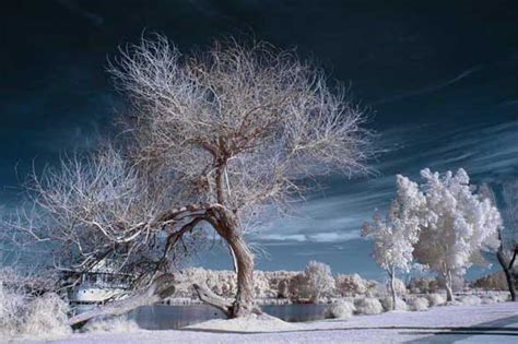 How To Shoot Infrared - What is Infrared Photography - What Digital Camera