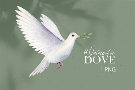 Dove With Olive Branch Clipart Peace Dove Clipart PNG | lupon.gov.ph