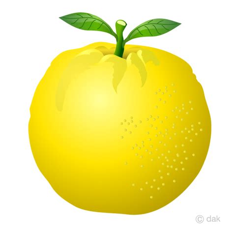 clipart grapefruit 20 free Cliparts | Download images on Clipground 2024