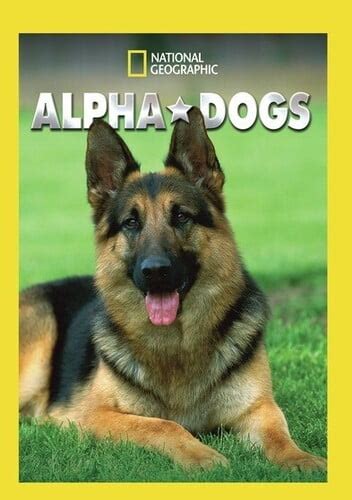 Alpha Dogs (DVD) - Walmart.com