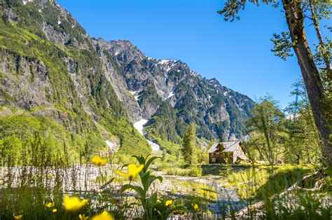 Enchanted Valley: Olympic National Park's Most Epic Backpacking Trip - Uprooted Traveler