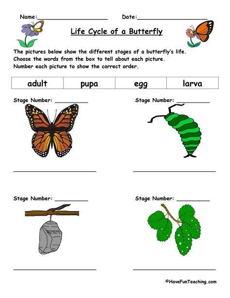 Life Cycle of a Butterfly Worksheet - Have Fun Teaching | Life cycles ...